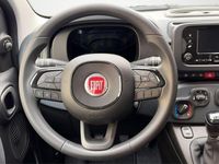 Neu Fiat Panda Icon 65 PS (47 kW) 2026 Gelato weiß Kleinwagen