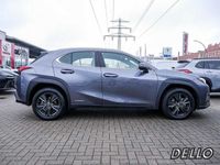 gebraucht Lexus UX 250h