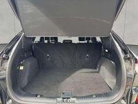 Gebraucht Ford Kuga ST-Line X 150 PS (110 kW) 2023 Agate black metallic SUV