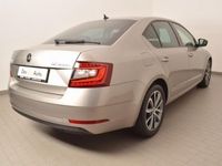 Gebraucht Skoda Octavia Drive 150 PS (110 kW) 2017 Beige metallic Limousine