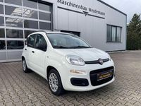 Gebraucht Fiat Panda 69 PS (50 kW) 2014 Weiß Kleinwagen