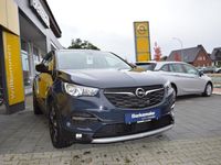 gebraucht Opel Grandland X 1.2 T Design Line / Klima / Sitzh. / Navi