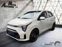 Gebraucht Kia Picanto Vision 63 PS (46 kW) 2025 Milky beige Kleinwagen