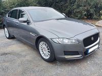 Gebraucht Jaguar XF Portfolio 163 PS (119 kW) 2017 Grau Limousine