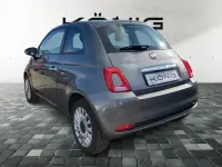 Gebraucht Fiat 500 Basis 69 PS (50 kW) 2023 Grau Kleinwagen