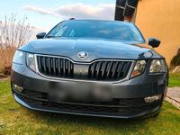 Gebraucht Skoda Octavia Style 150 PS (110 kW) 2019 Grau Kombi