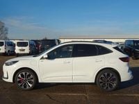 Neu Ford Kuga ST-Line X 242 PS (177 kW) 2025 Weiß SUV