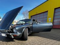 Gebraucht Jaguar XJ12 287 PS (211 kW) 1976 Blau Limousine