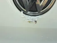 Gebraucht VW Polo 75 PS (55 kW) 2012 Weiß Kleinwagen