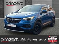 Gebraucht Opel Grandland X Dynamic 131 PS (96 kW) 2017 Topas blau SUV