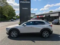 Gebraucht Mazda CX-30 Exclusive 140 PS (102 kW) 2025 Beige SUV