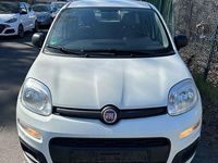 Gebraucht Fiat Panda 69 PS (50 kW) 2017 Weiß Kleinwagen