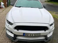 Occasion Ford Mustang 310 ch (228 kW) 2017 Blanc Coupé