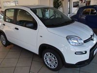 Gebraucht Fiat Panda 71 PS (52 kW) 2024 296 / gelato weiß Kleinwagen