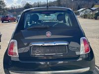 Gebraucht Fiat 500L 70 PS (51 kW) 2014 Schwarz Van / Kleinbus