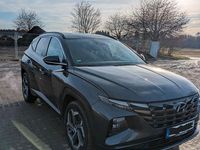 Gebraucht Hyundai Tucson Trend 265 PS (194 kW) 2022 Grau SUV