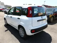 Neu Fiat Panda Pop 65 PS (47 kW) 2026 Gelato weiß Kleinwagen