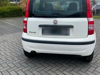 Gebraucht Fiat Panda 45 PS (33 kW) 2009 Weiß Kleinwagen