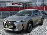 Gebraucht Lexus UX 250h 184 PS (135 kW) 2023 Weiß SUV