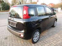 Gebraucht Fiat Panda Easy 69 PS (50 kW) 2019 Schwarz Kleinwagen