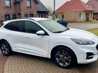 Gebraucht Ford Kuga ST-Line 120 PS (88 kW) 2024 Weiß SUV