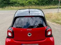 gebraucht Smart ForFour prime