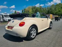 Usata VW Beetle Cabriolet 102 CV (75 kW) 2004 Beige Cabrio