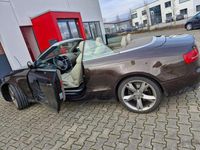 Gebraucht Audi A5 Cabriolet Design 211 PS (155 kW) 2011 Braun Cabrio
