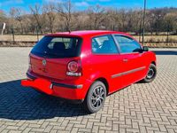 Gebraucht VW Polo 60 PS (44 kW) 2009 Rot Kleinwagen