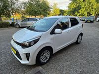 Gebraucht Kia Picanto Vision 67 PS (49 kW) 2024 Weiß Kleinwagen
