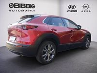 Gebraucht Mazda CX-30 Selection 150 PS (110 kW) 2020 Rot SUV