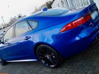 Gebraucht Jaguar XF 300 PS (220 kW) 2016 Blau Limousine