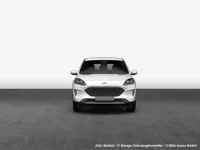 Gebraucht Ford Kuga Cool & Connect 150 PS (110 kW) 2023 Frozen white SUV