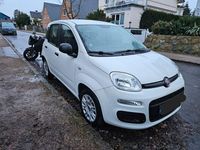 Gebraucht Fiat Panda 69 PS (50 kW) 2017 Weiß Kleinwagen