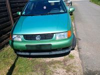 Usata VW Polo 55 CV (40 kW) 1997 Verde Utilitaria