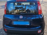 gebraucht Fiat Panda 0.9 8V TwinAir , Steuer nur 18 Eur