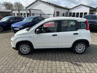 gebraucht Fiat Panda 1.0 #Tech Paket #Klima