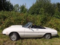 Gebraucht Alfa Romeo Spider 129 PS (94 kW) 1979 Weiß Cabrio