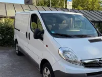 Gebraucht Opel Vivaro 130 PS (95 kW) 2013 Weiß Van / Kleinbus