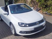 Usata VW Eos 122 CV (89 kW) 2015 Bianco Cabrio