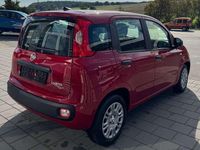 Neu Fiat Panda 69 PS (50 kW) 2025 Rot Kleinwagen