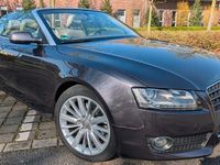 Gebraucht Audi A5 Cabriolet 211 PS (155 kW) 2009 Violet Cabrio