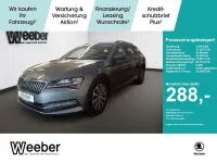 Gebraucht Skoda Superb Premium Edition 150 PS (110 kW) 2023 Graphitegrau (metallic) Kombi