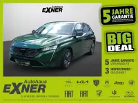 Gebraucht Peugeot 308 Allure 131 PS (96 kW) 2024 Olivgrün Limousine