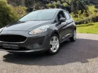 Gebraucht Ford Fiesta Cool & Connect 101 PS (74 kW) 2018 Grau Kleinwagen