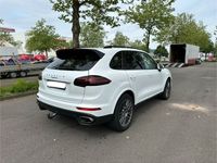 Gebraucht Porsche Cayenne Platinum Edition 262 PS (192 kW) 2018 Weiß SUV
