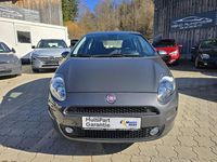 Gebraucht Fiat Punto Basis 69 PS (50 kW) 2017 Grau Kleinwagen