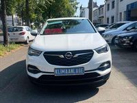 Gebraucht Opel Grandland X Selection 131 PS (96 kW) 2019 Jade weiss/arktis weiss SUV