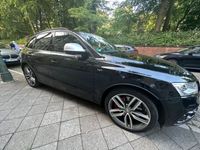 gebraucht Audi SQ5 3.0 TDI competition tiptronic quattro -