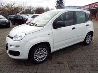 Neu Fiat Panda S 69 PS (50 kW) 2025 Weiß Kleinwagen